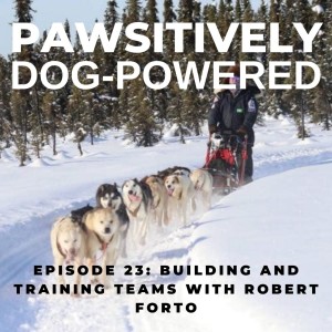 Building and Training Teams with Robert Forto