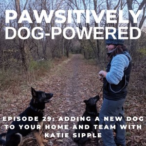 Adding a New Dog to Your Home and Team with Katie Sipple, IAABC-ADT