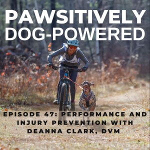 Performance and Injury Prevention with Deanna Clark, DVM