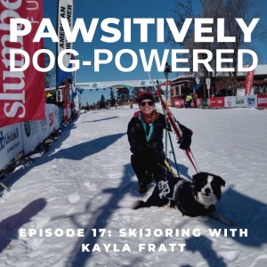 Skijoring with Kayla Fratt IAABC-CDBC