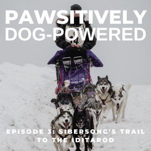 Sibersong’s Trail to the Iditarod