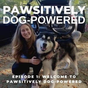 Welcome to Pawsitively Dog-Powered