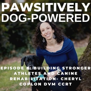 Building Stronger Athletes and Canine Rehabilitation with Cheryl Coplon DVM, CCRT