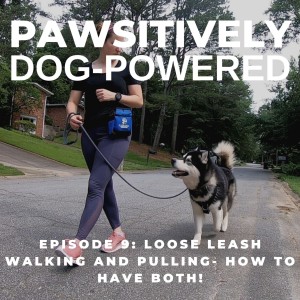 Loose Leash Walking and Pulling- How to Have Both!