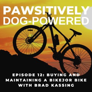 Buying and Maintaining a Bikejor Bike with Brad Kassing