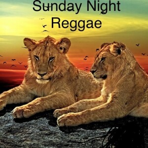 live_Reggae_Revival_Night