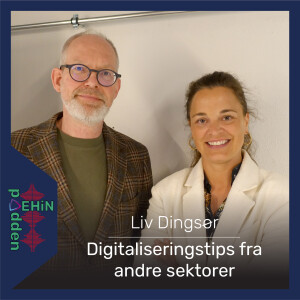 Liv Dingsør - Digitaliseringstips fra andre sektorer