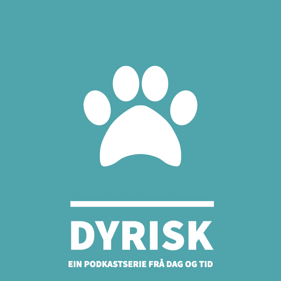 DAG OG TID podkast