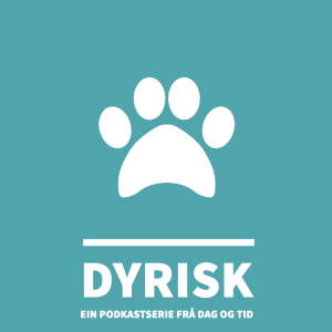 Dyrisk: Kva er ein veterinær?