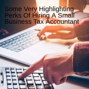 Some Very Highlighting Perks Of Hiring A Small Business Tax Accountant