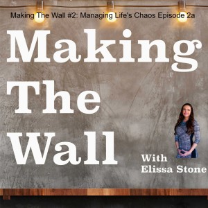Making The Wall #21 - Back With A Plan, 1000 Plans