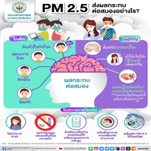 PM 2.5 ส่งผลกระทบต่อสมองอย่างไร?