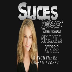 The Slices Podcast with Jason Pelligra - Amanda Wyss EP#3