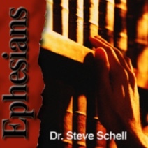 Life Lessons with Dr. Steve Schell
