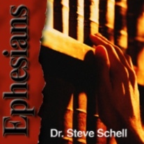 Life Lessons with Dr. Steve Schell