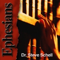 Life Lessons with Dr. Steve Schell