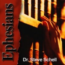 Life Lessons with Dr. Steve Schell