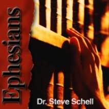 Life Lessons with Dr. Steve Schell