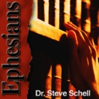 Life Lessons with Dr. Steve Schell