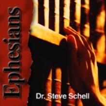 Life Lessons with Dr. Steve Schell