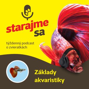 Akvaristika: Základy akvaristiky