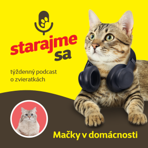 Mačky: Mačky v domácnosti