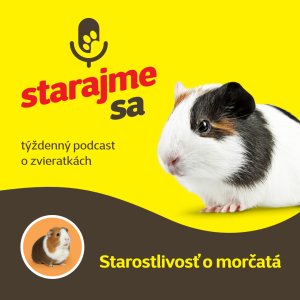 Drobné cicavce: Starostlivosť o morčatá