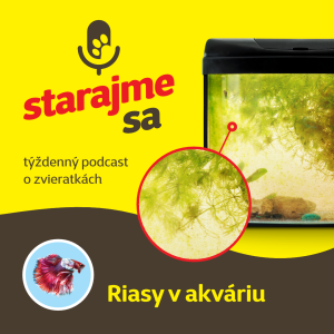 Akvaristika: Riasy v akváriu