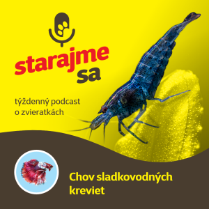 Akvaristika: Chov sladkovodných kreviet