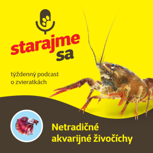 Akvaristika: Netradičné akvarijné živočíchy