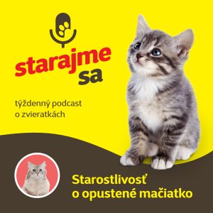 Mačky: Starostlivosť o opustené mačiatko