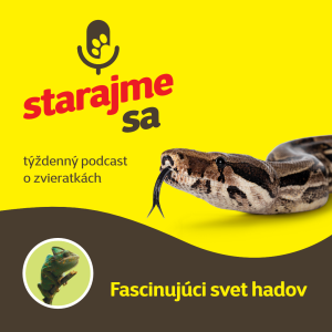 Teraristika: Fascinujúci svet hadov