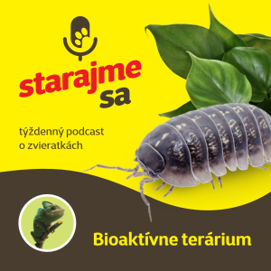 Teraristika: Bioaktívne terárium