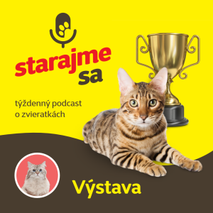 Mačky: Výstava