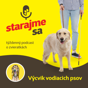 Psy: Výcvik vodiacich psov