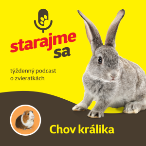 Drobné cicavce: Chov králika