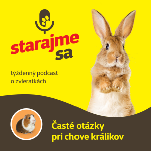 Drobné cicavce: Časté otázky pri chove králikov