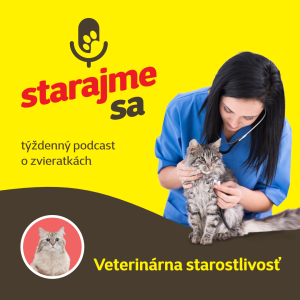 Mačky: Veterinárna starostlivosť