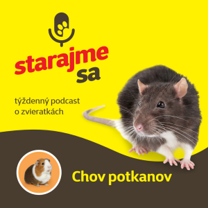 Drobné cicavce: Chov potkanov