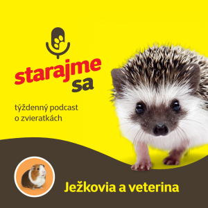 Drobné cicavce: Ježkovia a veterina