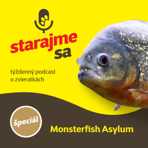 Špeciál: Monsterfish Asylum