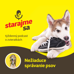 Psy: Nežiaduce správanie psov