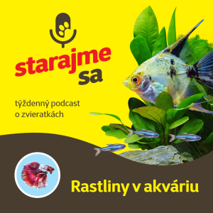 Akvaristika: Rastliny v akváriu