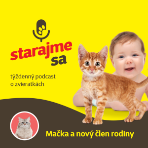 Mačky: mačka a nový člen rodiny