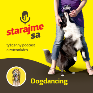 Psy: Dogdancing