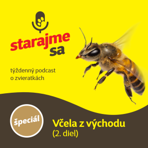 Špeciál: Včela z východu 2.diel