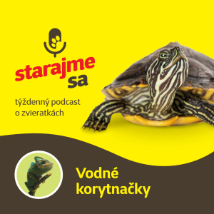 Teraristika: Vodné korytnačky