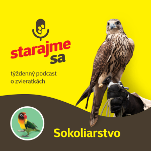 Vtáky: Sokoliarstvo