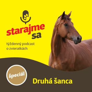 Špeciál: Druhá šanca