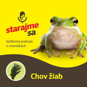 Teraristika: Chov žiab